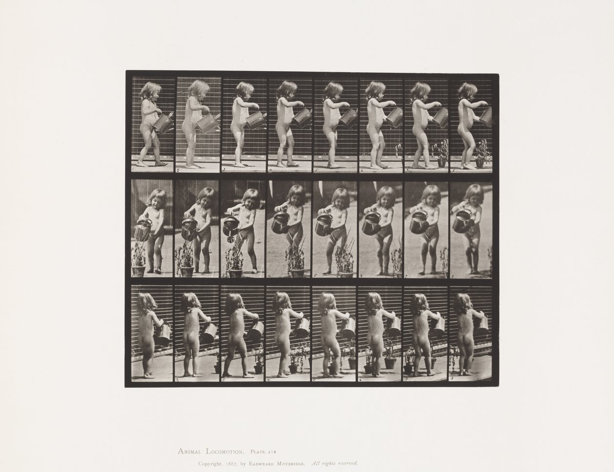 Kind, water over bloemen sprenkelen door Eadweard Muybridge