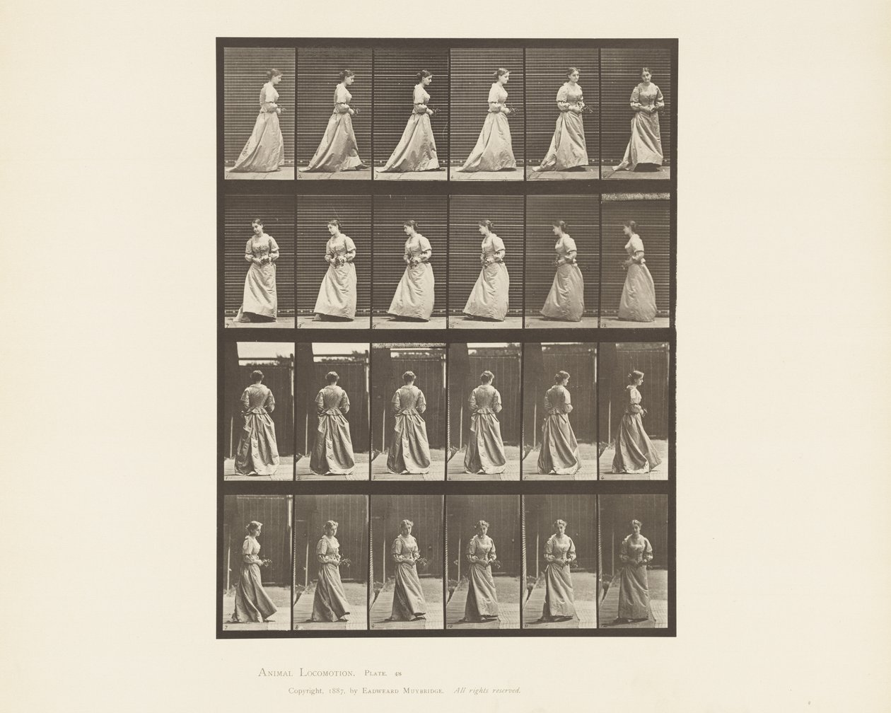Lopen en omdraaien, boeket in beide handen door Eadweard Muybridge