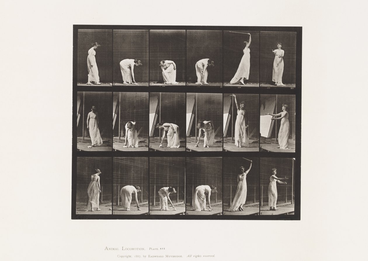 Plaat 503. Diversen - Bukken, enz. door Eadweard Muybridge