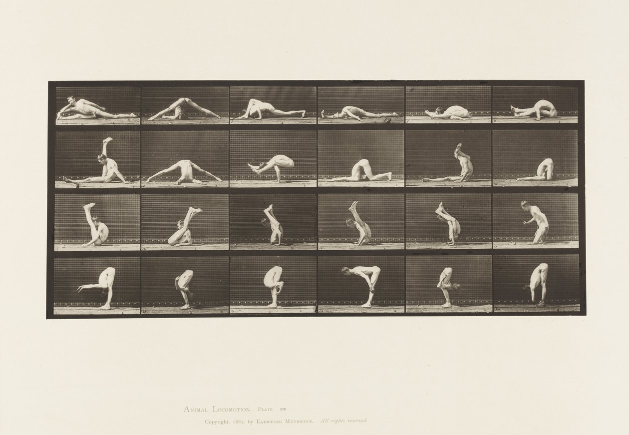 Contorties op de Grond, 1872-1885 door Eadweard Muybridge