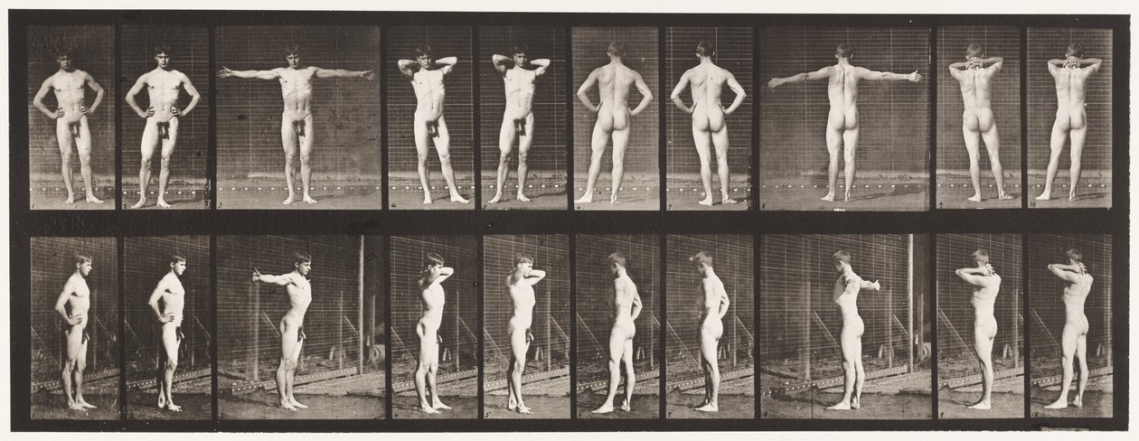 Plaat 529. Verschillende Houdingen door Eadweard Muybridge