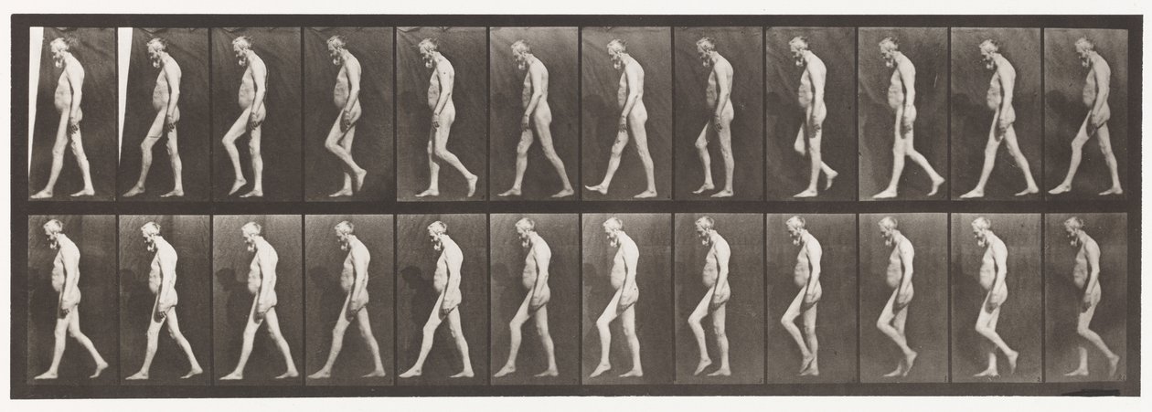Plaat 555. Spieratrofie van benen; volwassene, A,B, lopen, 1885 door Eadweard Muybridge