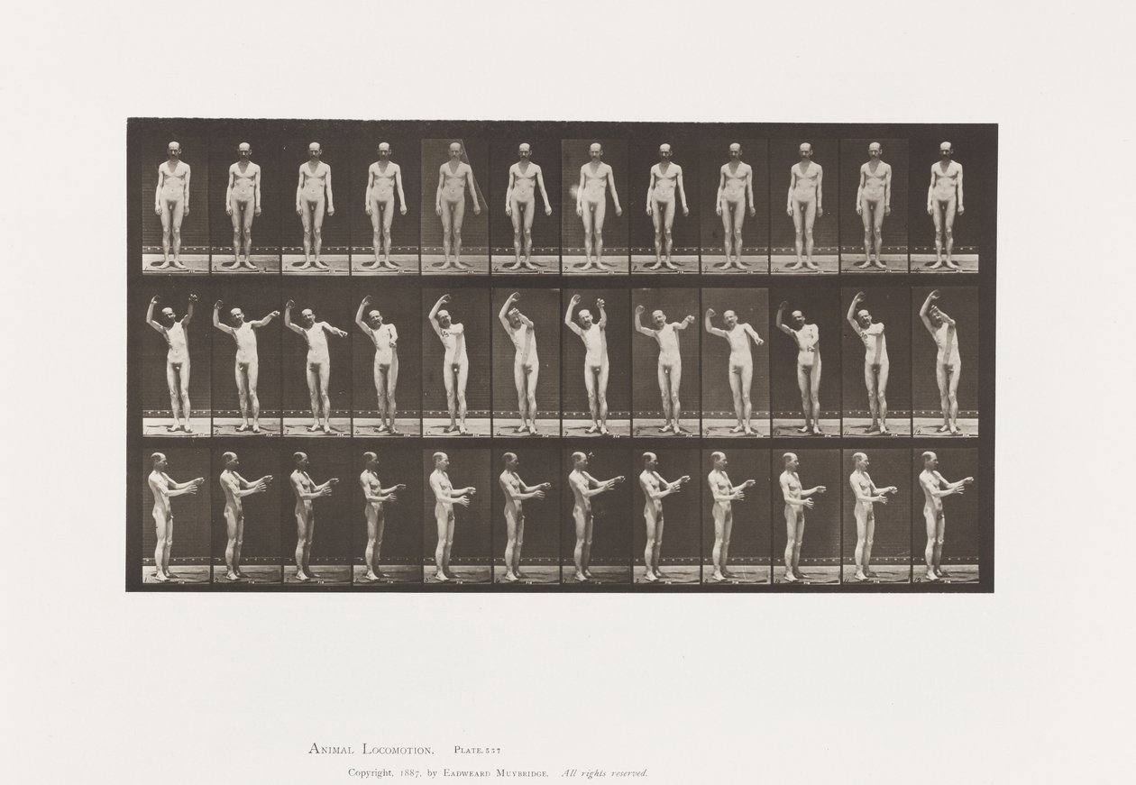 Lokale Chorea; A, B, C, Terwijl Staand door Eadweard Muybridge