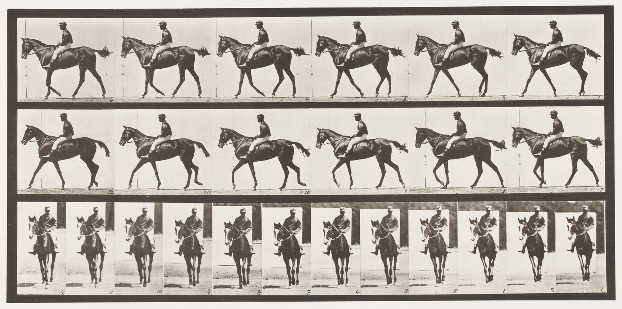 Plaat 580. Wandelen; zadel; volbloed vosmerrie Annie G., 1885 door Eadweard Muybridge