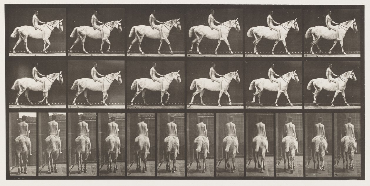 Lopend; Ruiter zonder zadel; Naakt; Lichtgrijs Paard door Eadweard Muybridge