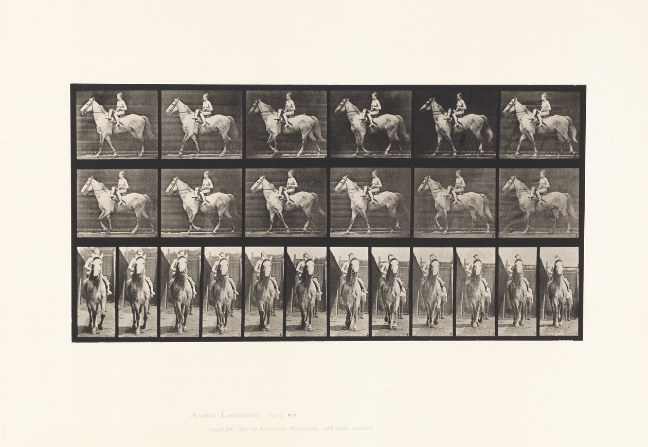 Lopen; Zadel; Vrouwelijke Ruiter; Naakt; Grijs Paard Tan, 1885 door Eadweard Muybridge