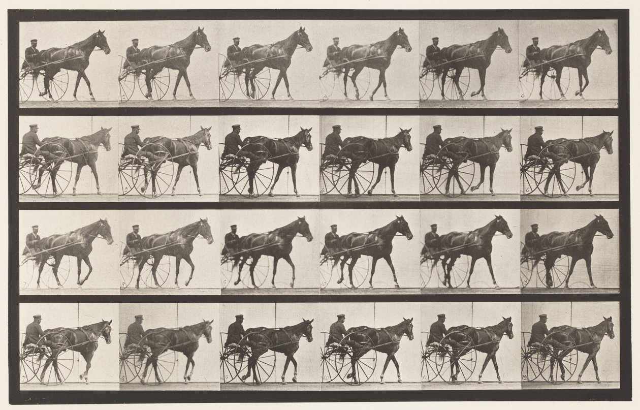 Lopen; Sulky; Vosmerrie Nellie Rose, 1885 door Eadweard Muybridge