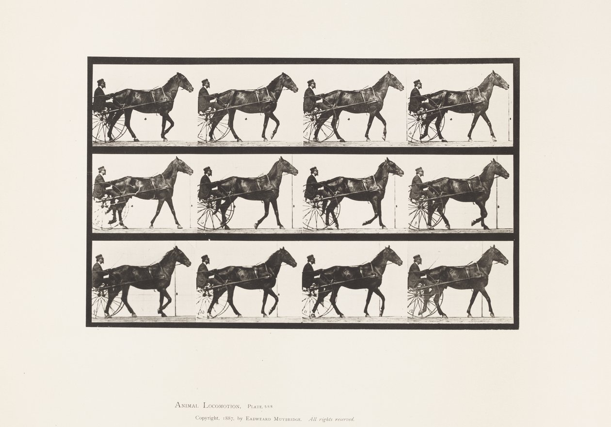 Lopen; Sulky; Bruin Paard Reuben, 1885 door Eadweard Muybridge