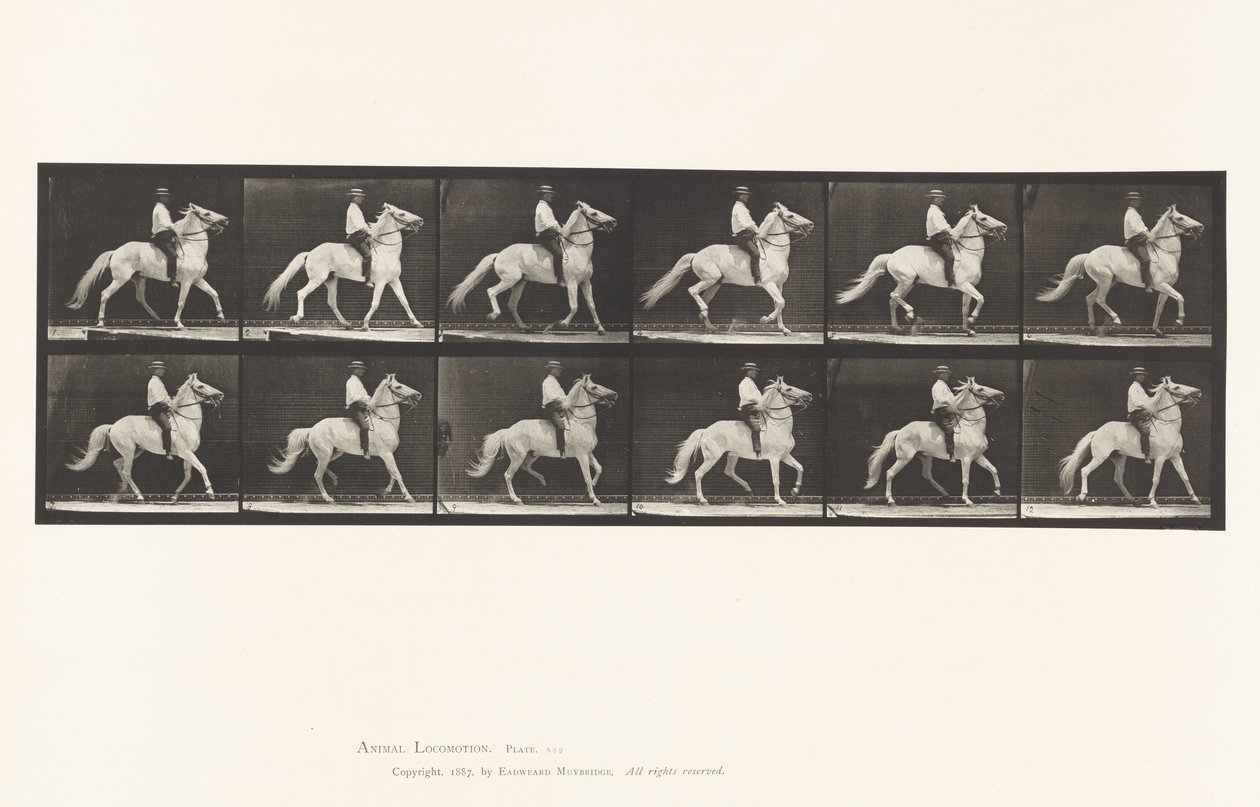 Draven door Eadweard Muybridge