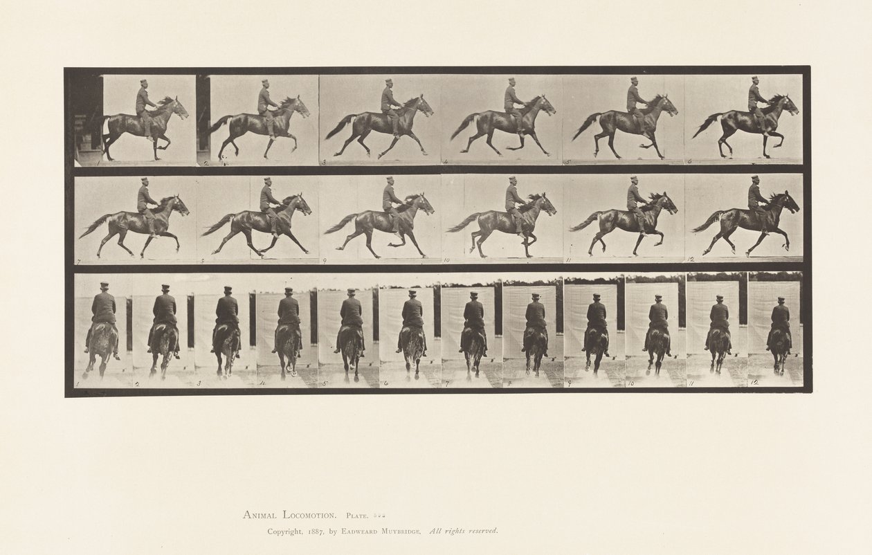 Plaat 592. Schommelen (Pacing): Zadel; Bruin Paard Pronto door Eadweard Muybridge