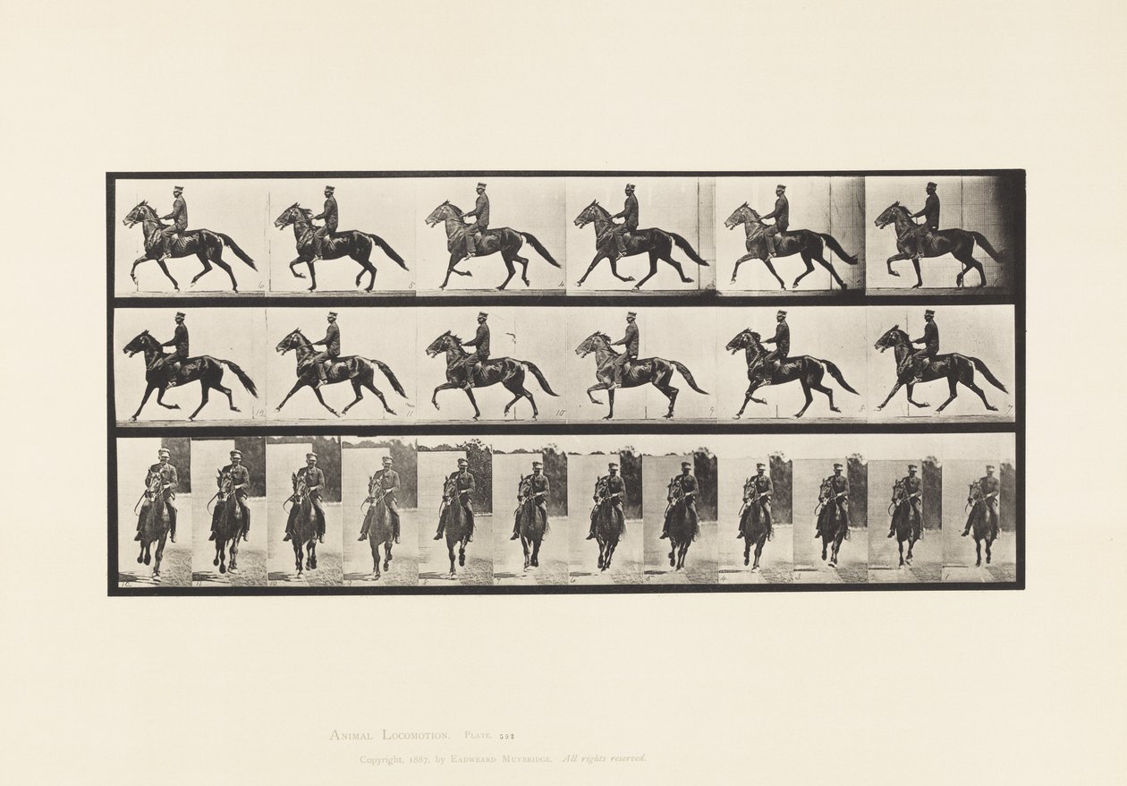 Plaat 593. Schommelen (Pacing): Zadel; Bruin Paard Pronto door Eadweard Muybridge