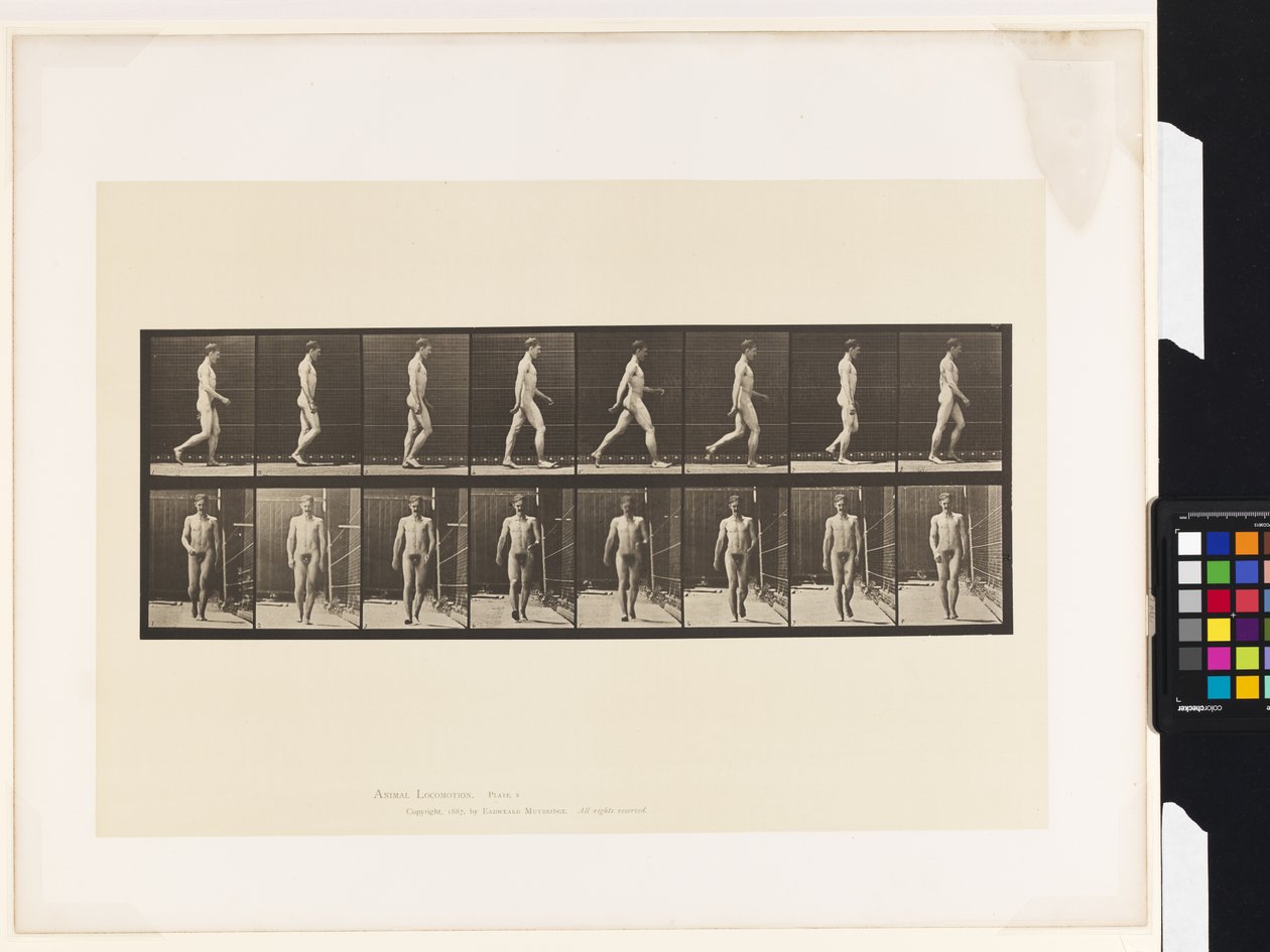 Plaat 5. Lopen door Eadweard Muybridge