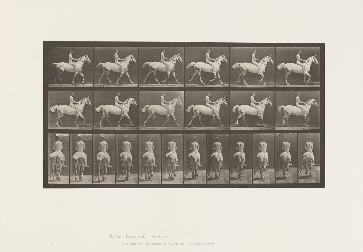 Plaat 602. Draven; Zonder zadel; Ruiter, 43, Naakt; Lichtgrijs paard Smith, 1885 door Eadweard Muybridge