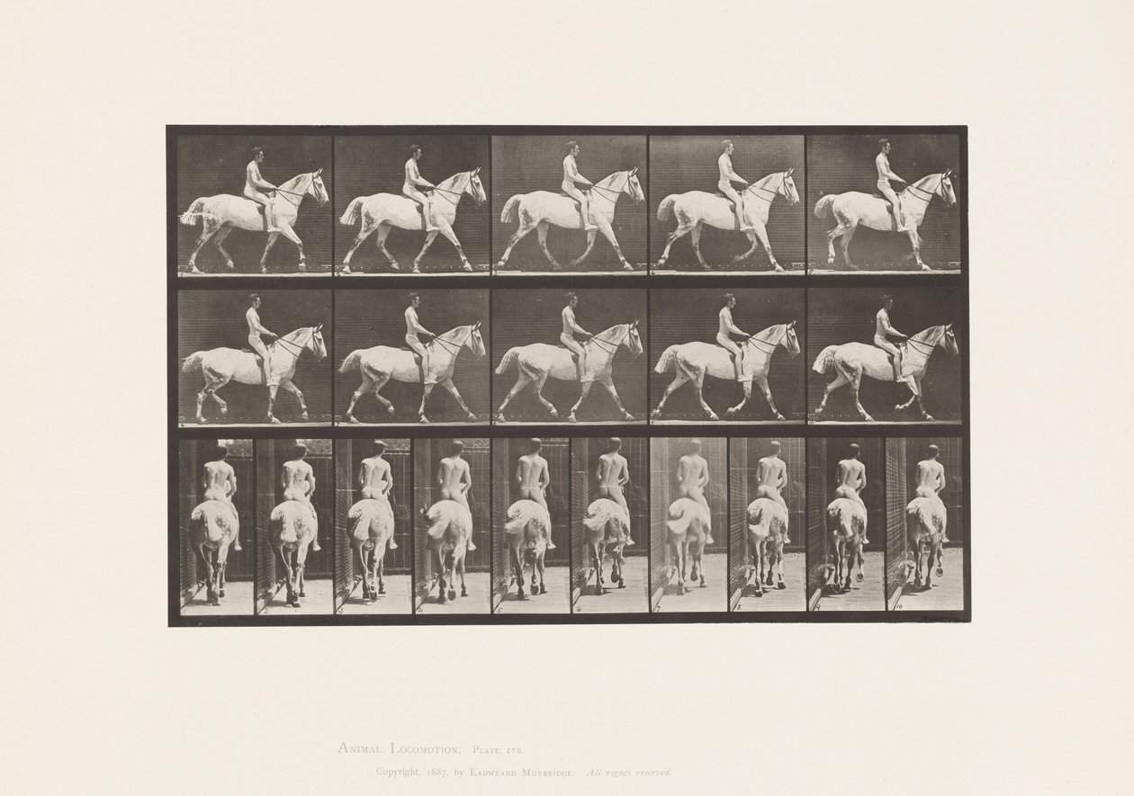 Plaat 603. Draven; Zadel; Rit, 43, Breed, Lichtgrijs Paard Smith door Eadweard Muybridge