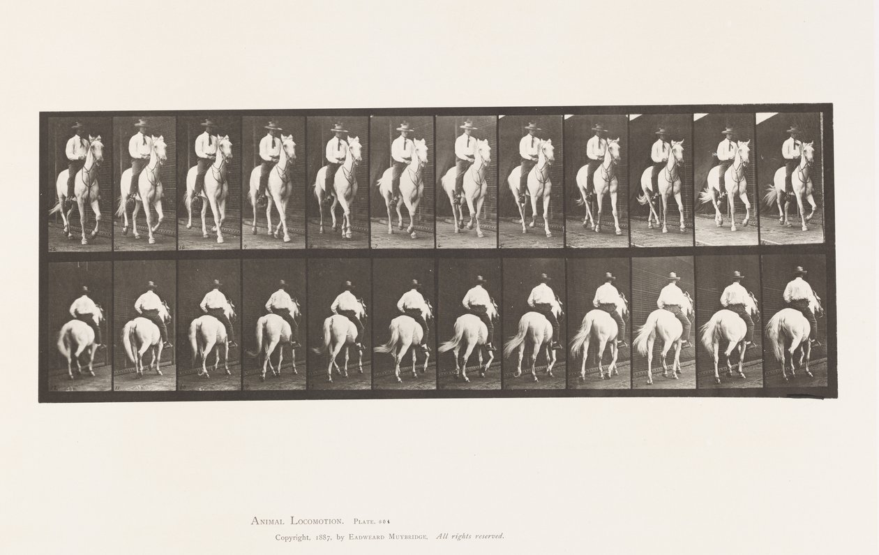 Plaat 604. Draven; Zadel; Wit Paard, Elberon door Eadweard Muybridge