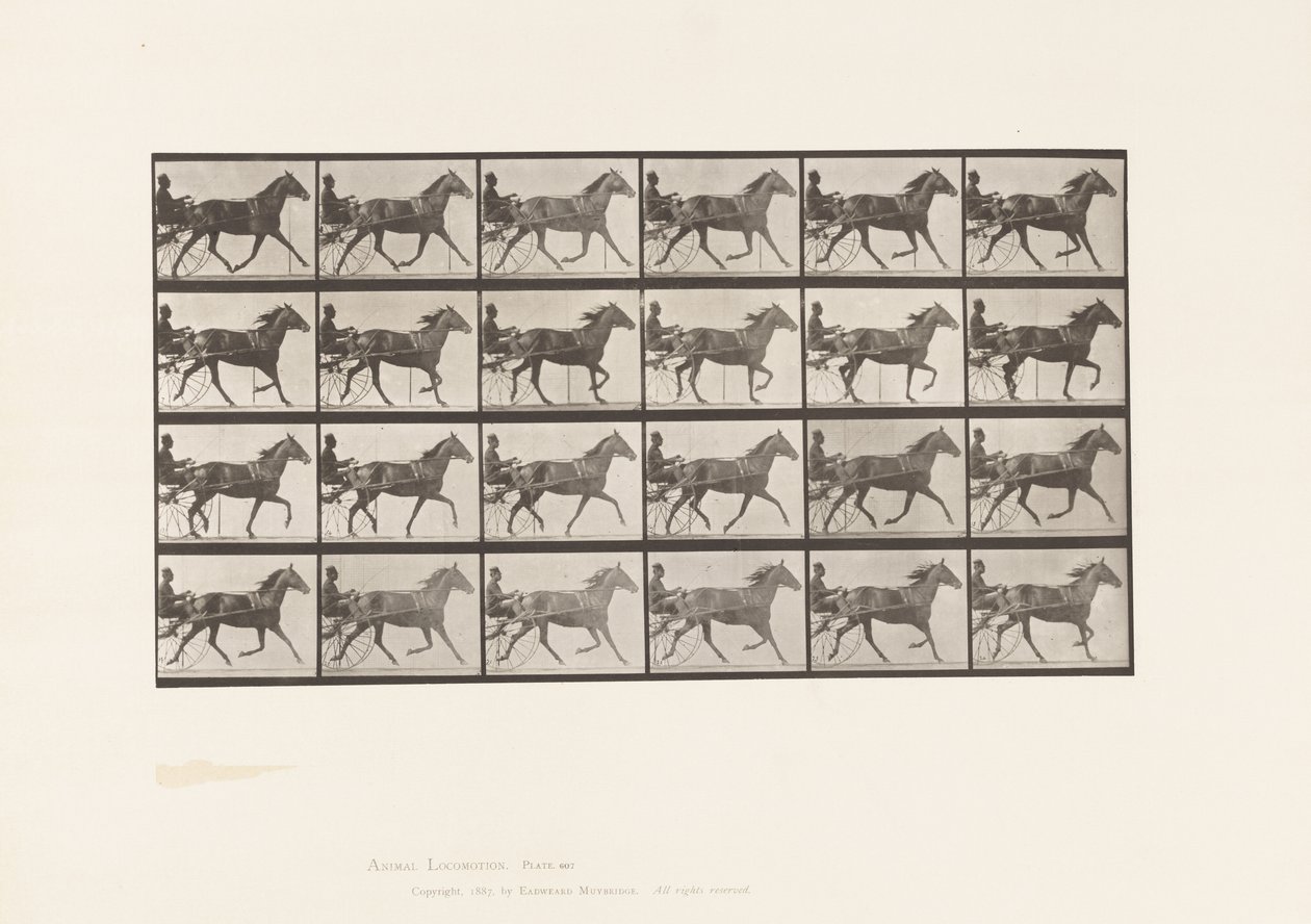 Plaat 607. Draven; Sulky; Bruine Merrie, Lizzie M. door Eadweard Muybridge