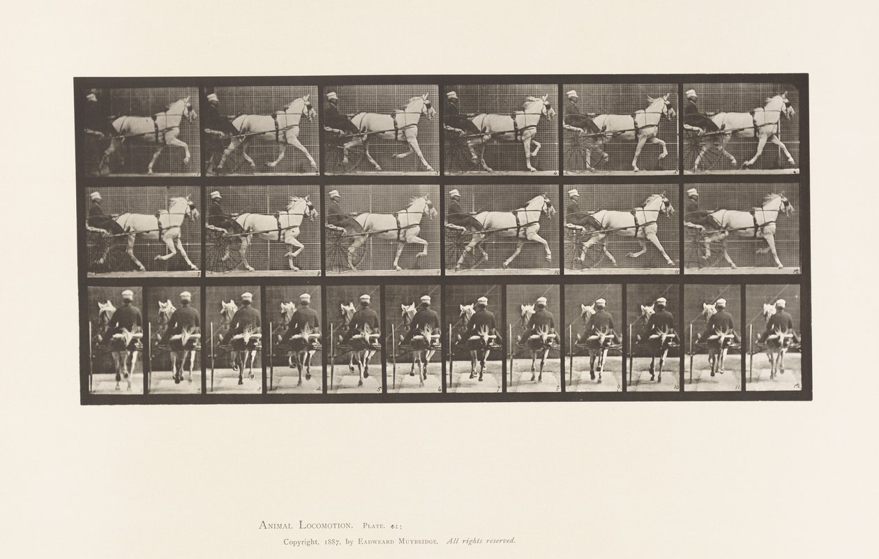 Plaat 611. Draven; Sulky; Grijze Merrie, Katydid door Eadweard Muybridge