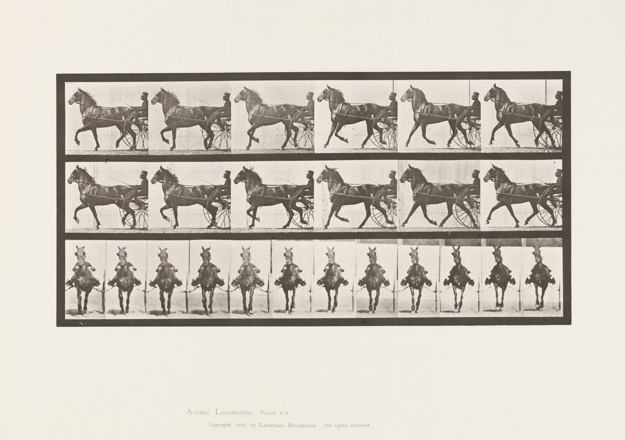 Plaat 612. Draven; Sulky; Bruin Paard, Dereumd door Eadweard Muybridge