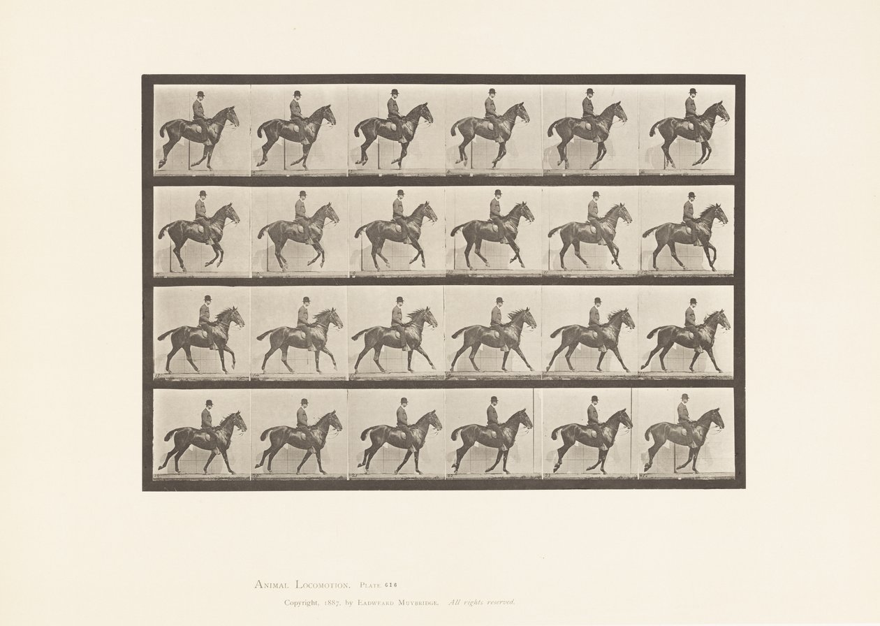 Plaat 616. Draf; Zadel; Bruin Paard Daisy door Eadweard Muybridge
