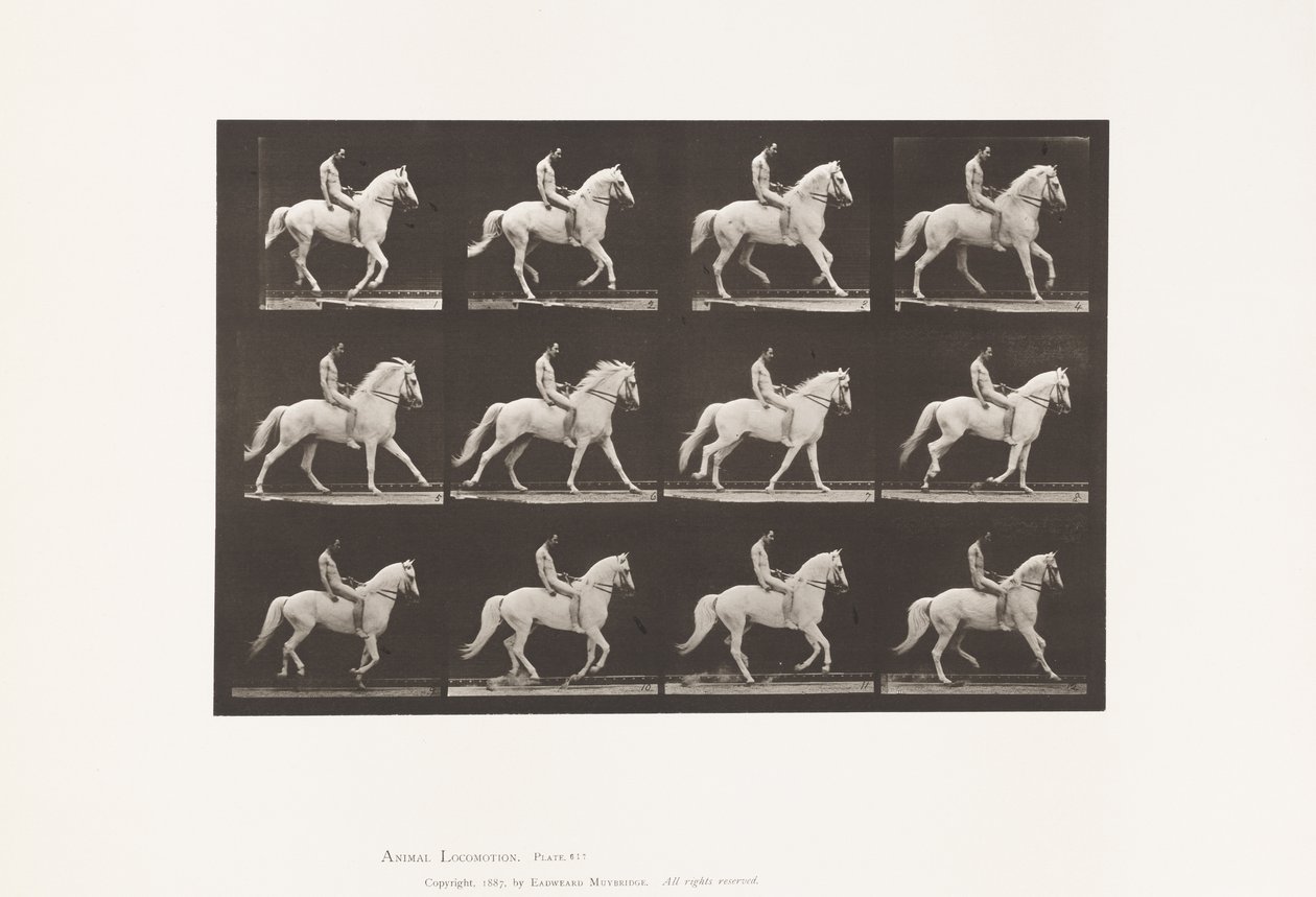 Plaat 617. Galop; Zonder zadel; Ruiter, 106, Naakt; Wit Paard Clinton, 1885 door Eadweard Muybridge