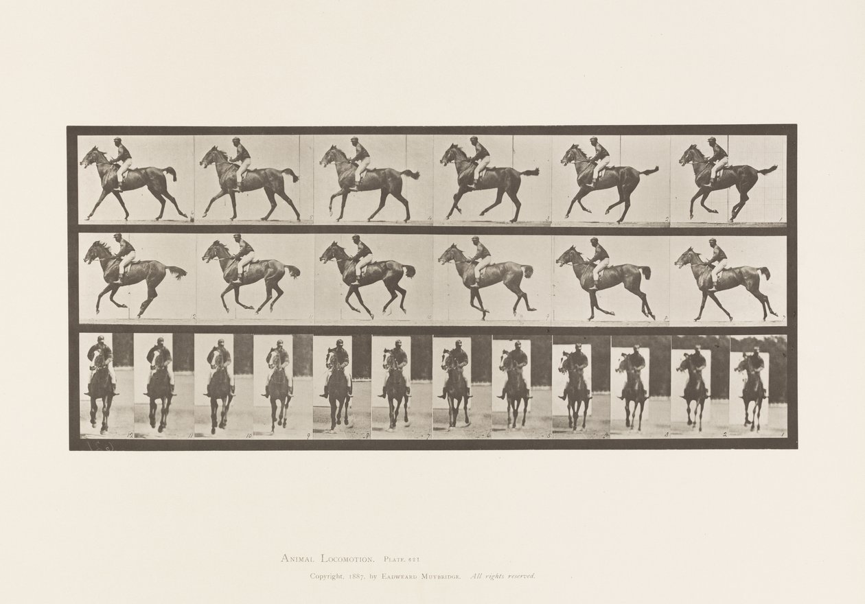Plaat 621. Draf; Zadel; Volbloed Bruine Merrie Annie 6 door Eadweard Muybridge