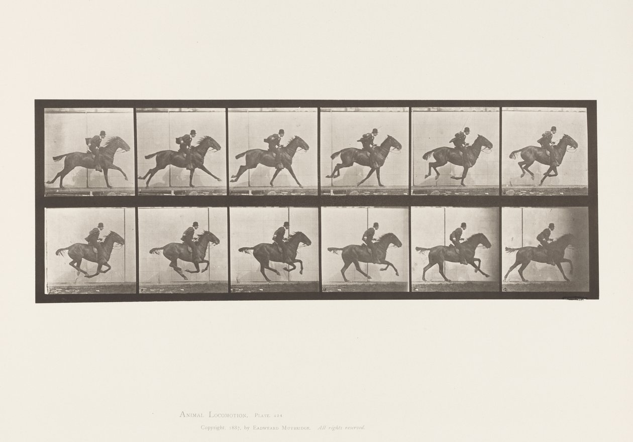 Plaat 624. Galop; Zadel; Bruin Paard Daisy door Eadweard Muybridge
