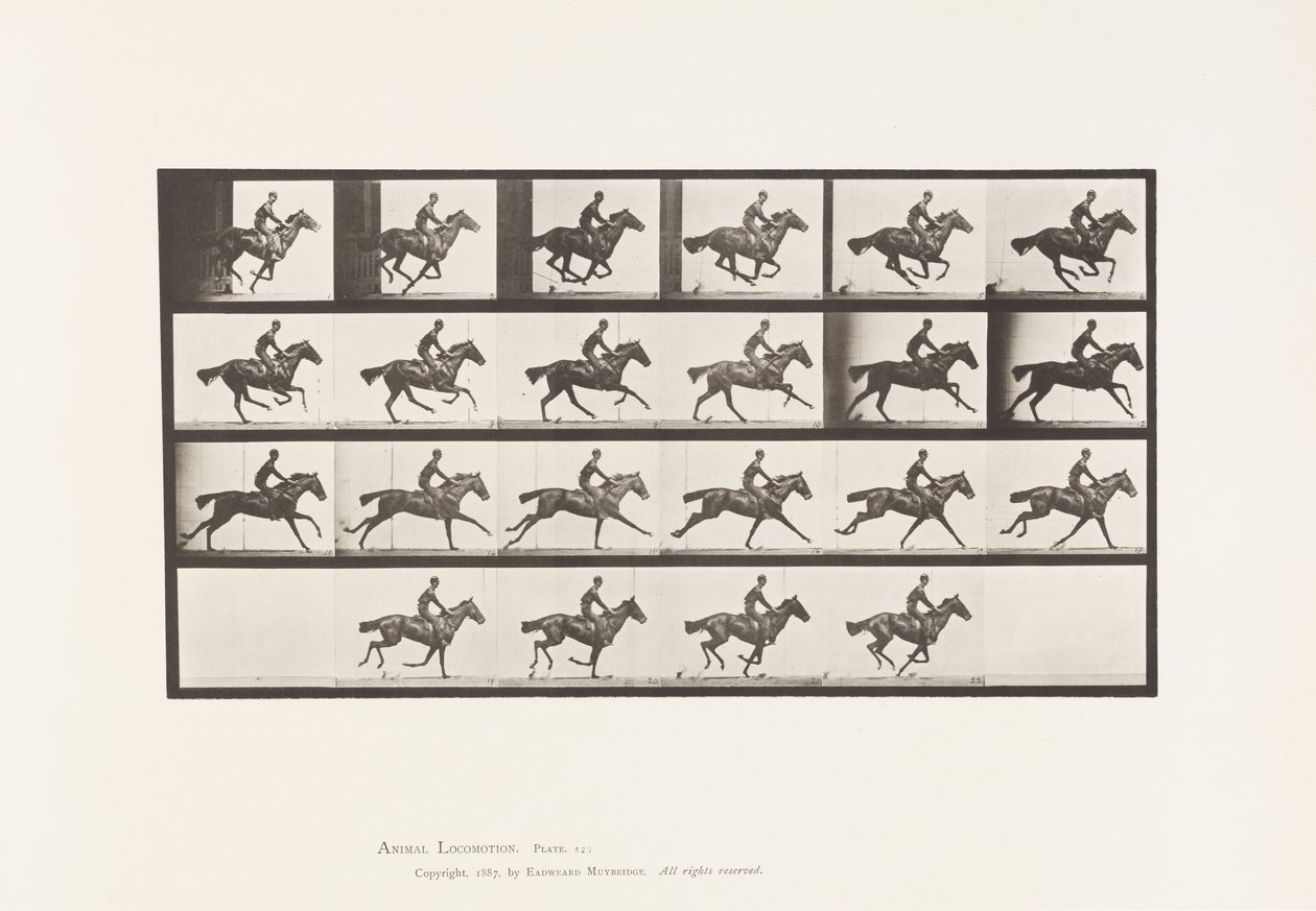 Plaat 625. Galop; Volbloed Bruin Paard Bouquet door Eadweard Muybridge