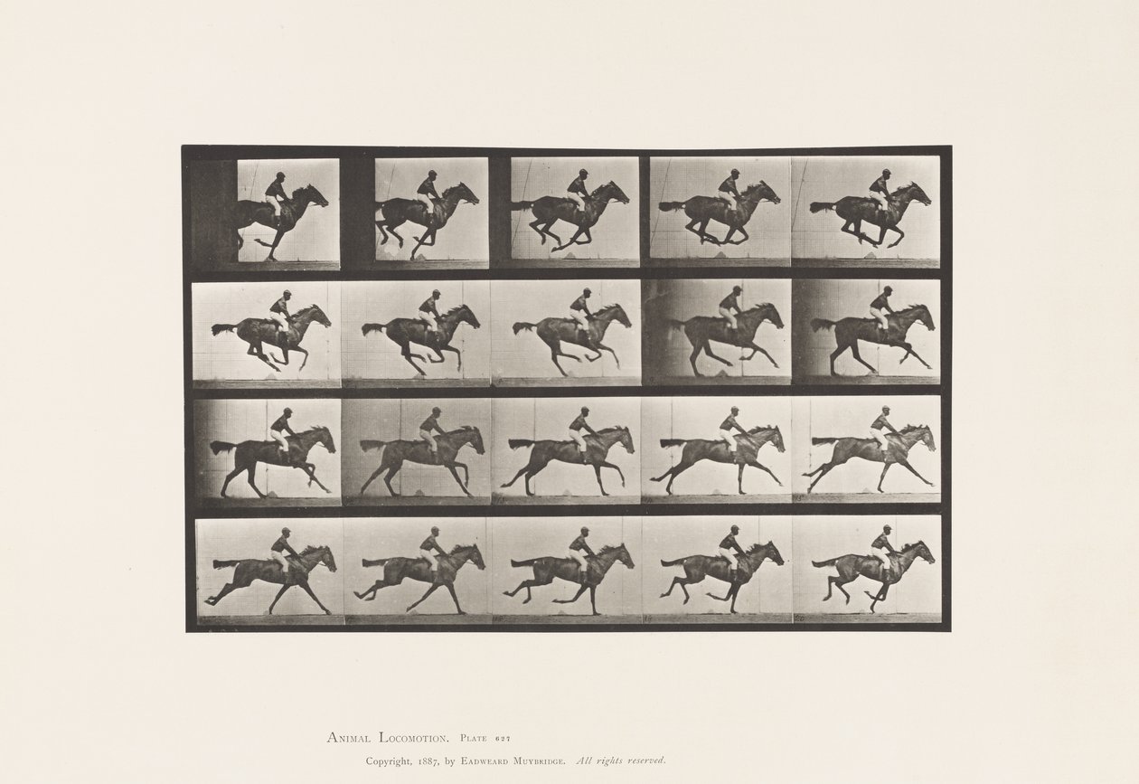Plaat 627. Galop; Volbloed Vosmerrie Annie G. door Eadweard Muybridge