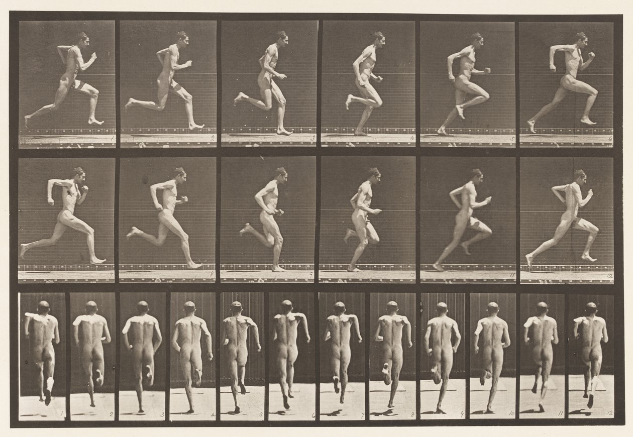 Rennen op Volle Snelheid, 1872-1885 door Eadweard Muybridge