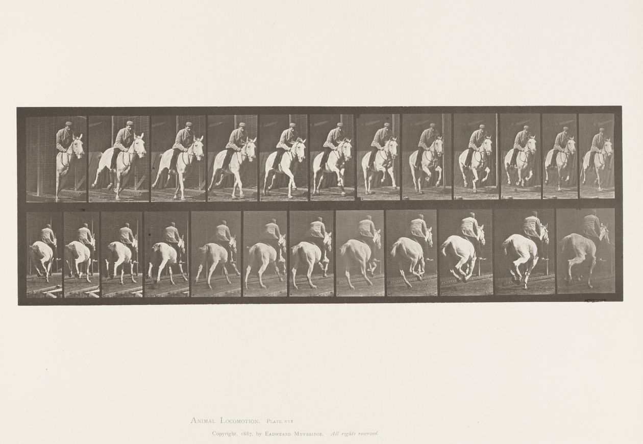 Plaat 635. Galop; Zadel; Grijze Merrie, Pandora door Eadweard Muybridge
