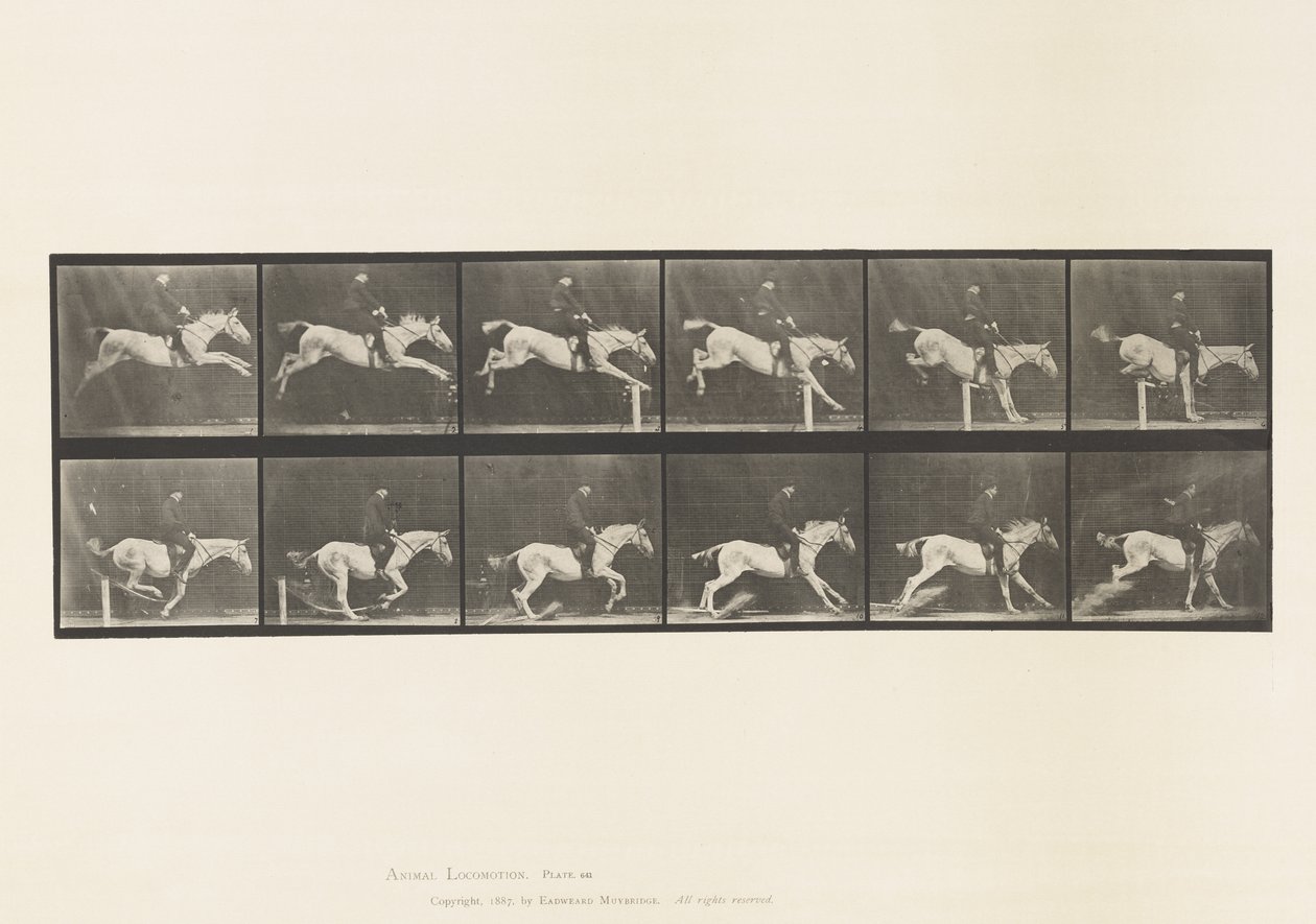 Plaat 641. Springen over een Hek; Zadel; Omverwerpen van Hek door Eadweard Muybridge