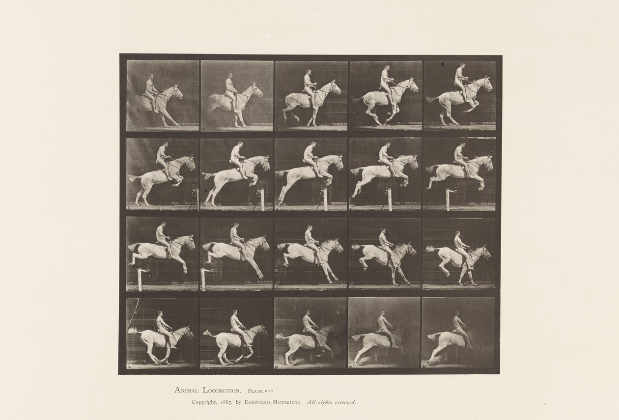 Plaat 642. Over een hindernis springen; Zadel; Ruiter, 105, Naakt; Grijze merrie, 1885 door Eadweard Muybridge