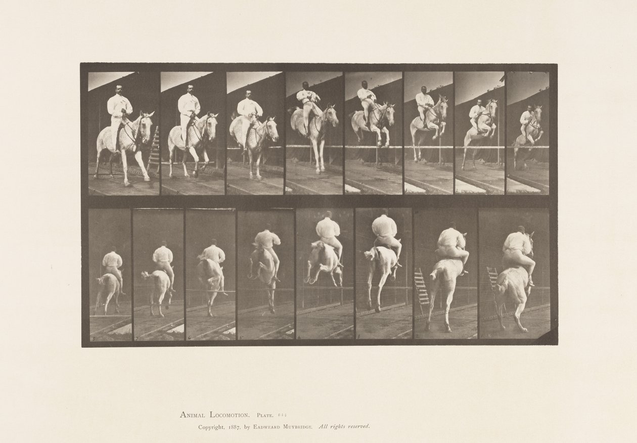 Plaat 644. Over een hindernis springen; Zadel; Oversteken en landen door Eadweard Muybridge