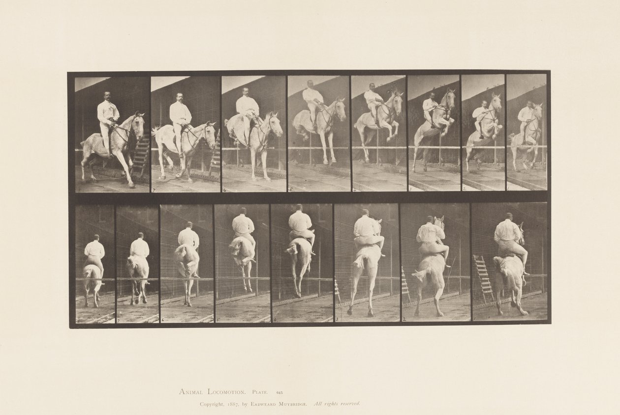 Plaat 645. Over een Hek Springen; Zadel; Oversteken en Landen door Eadweard Muybridge