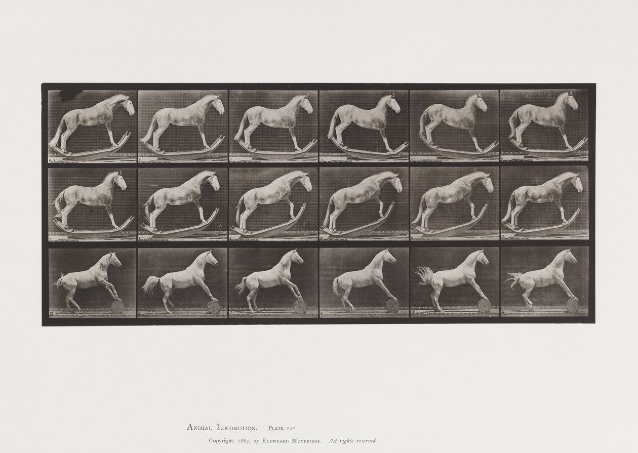 Plaat 649.A, Hoornaar, Schommelen; B, Adelaar, Rollend Vat, Etc. door Eadweard Muybridge