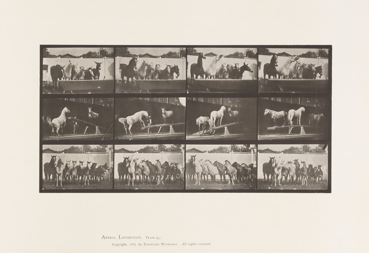 Plaat 651.A, Klokluiden; B, Wipplank; C, Militaire Oefening door Eadweard Muybridge