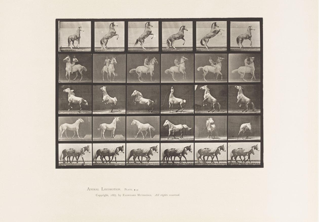 Plaat 652. A, B, C, D, E, Paarden steigeren, enz. door Eadweard Muybridge