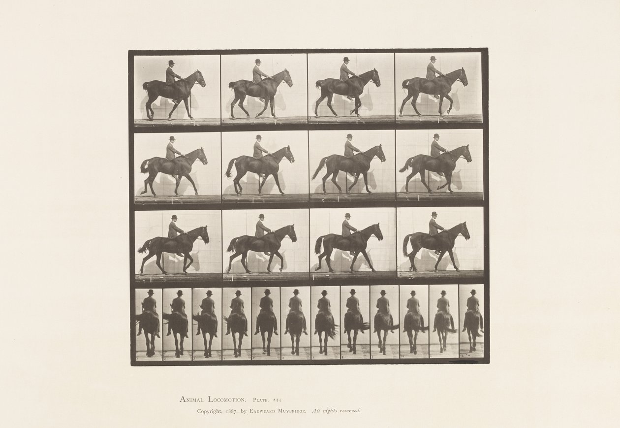 Plaat 655. Lopen; Zadel; Spat, rechter achterbeen; Paard door Eadweard Muybridge