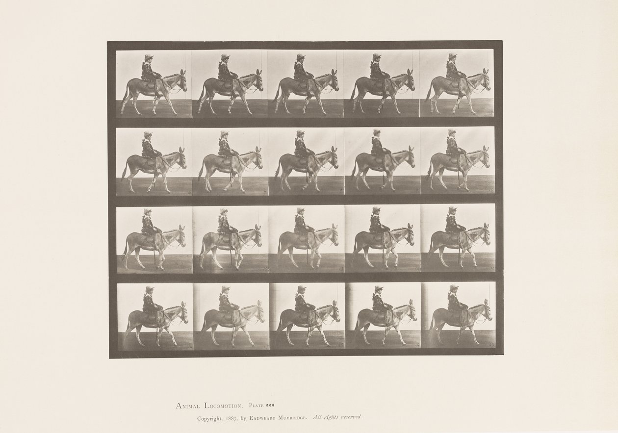 Plaat 666. Ezel; Lopend; Zadel; Een Meisje Rijdend, Dierentuin door Eadweard Muybridge