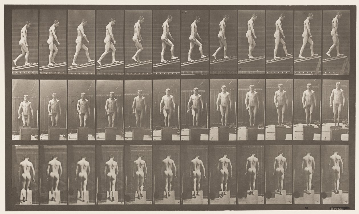 Plaat 74. Helling beklimmen, hoek 1 op 4 door Eadweard Muybridge