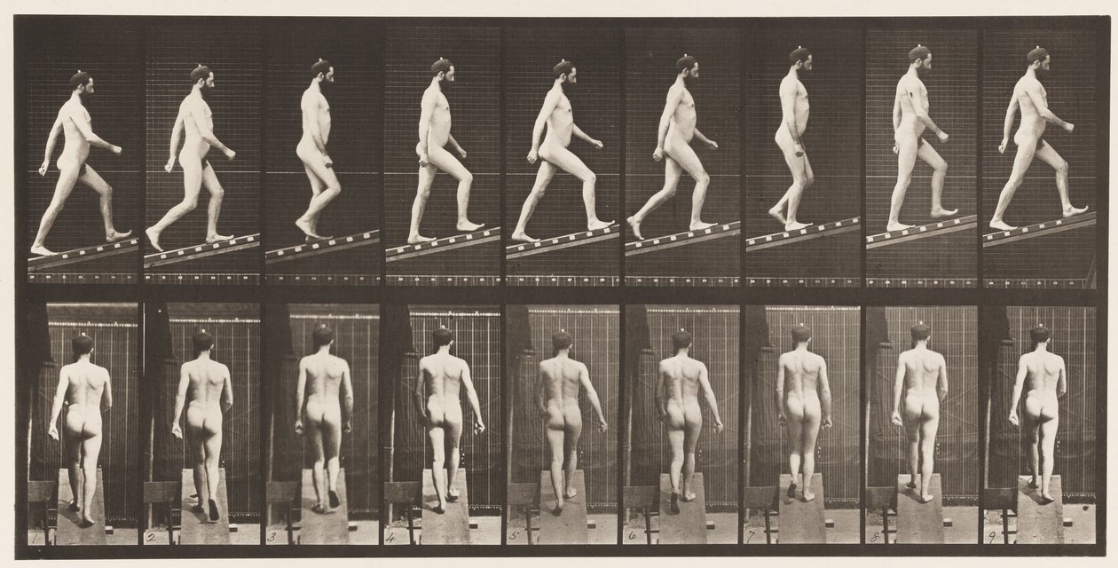 Hellend vlak beklimmen, hoek 1 op 4 door Eadweard Muybridge