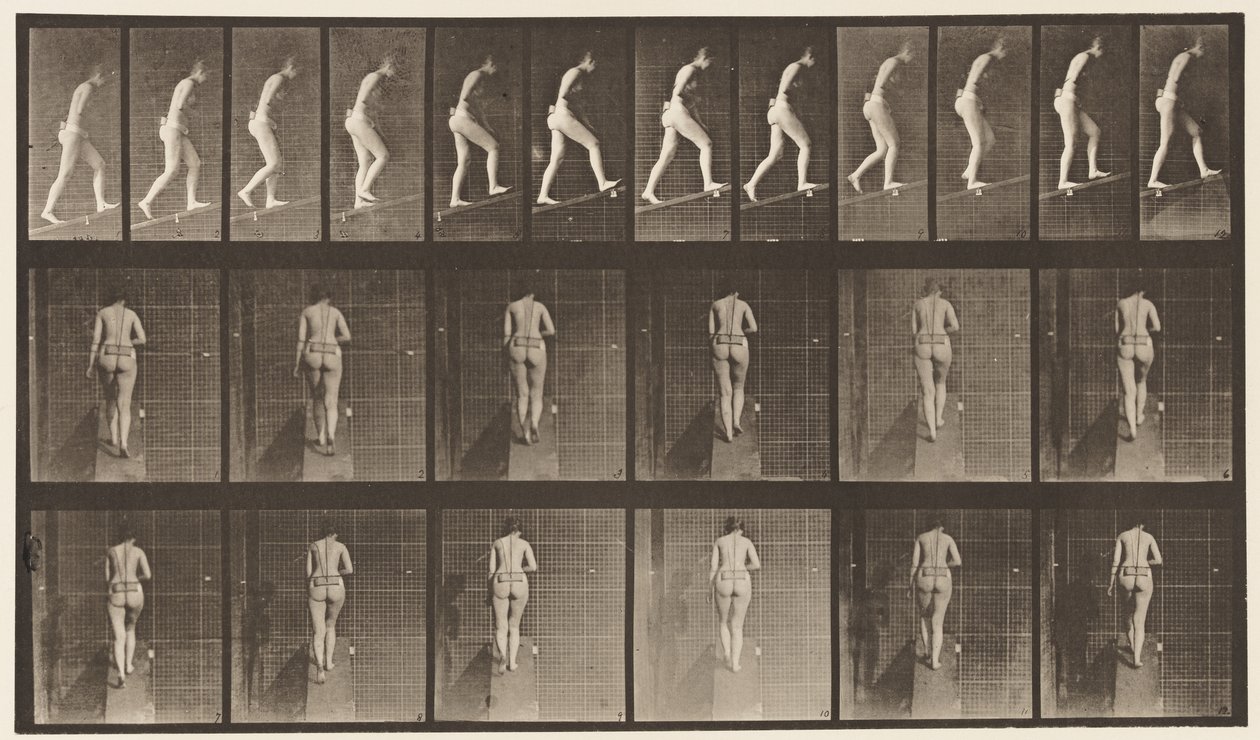 Plaat 79. Helling Beklimmen door Eadweard Muybridge