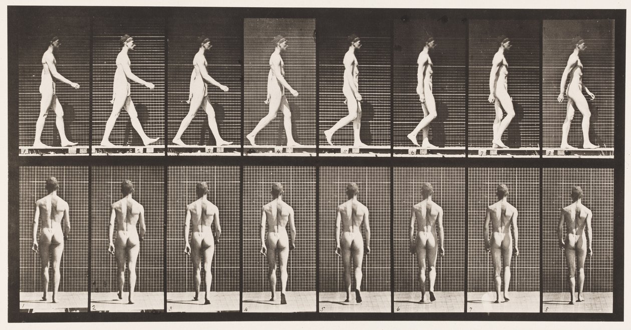Plaat 8. Lopen door Eadweard Muybridge