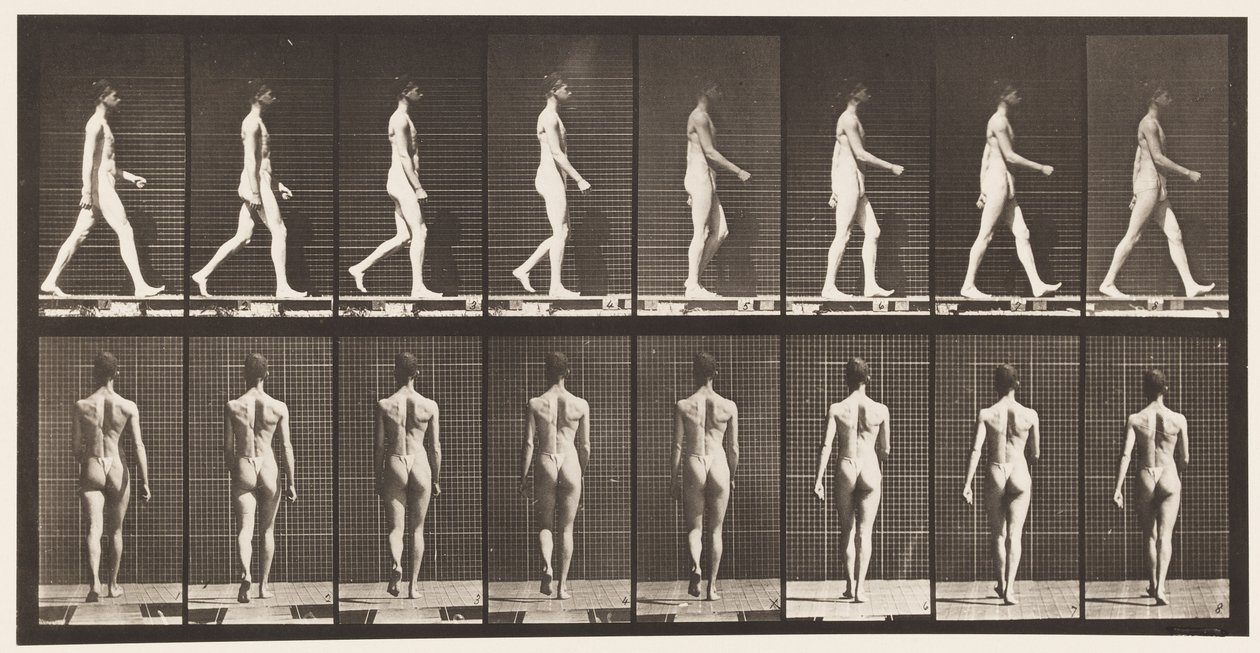Lopen door Eadweard Muybridge