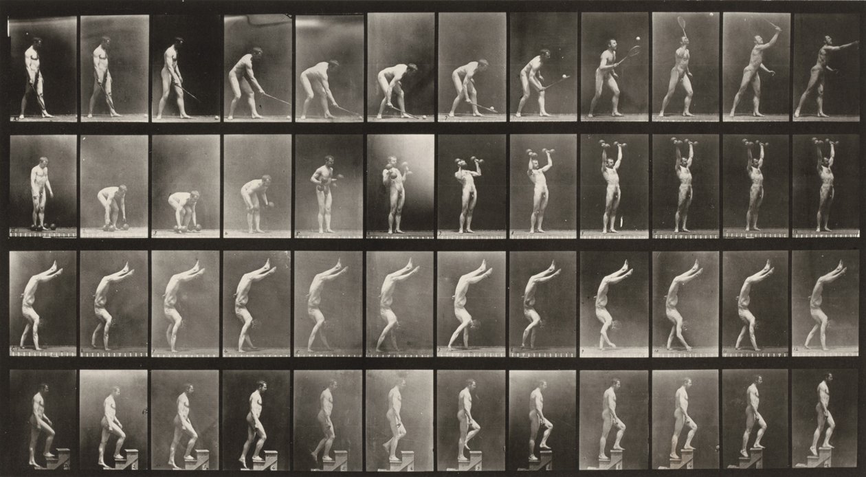 Plaat nummer 488. A: Grastennis. B: Halters. C: Lopen op de handen. D: Traplopen door Eadweard Muybridge