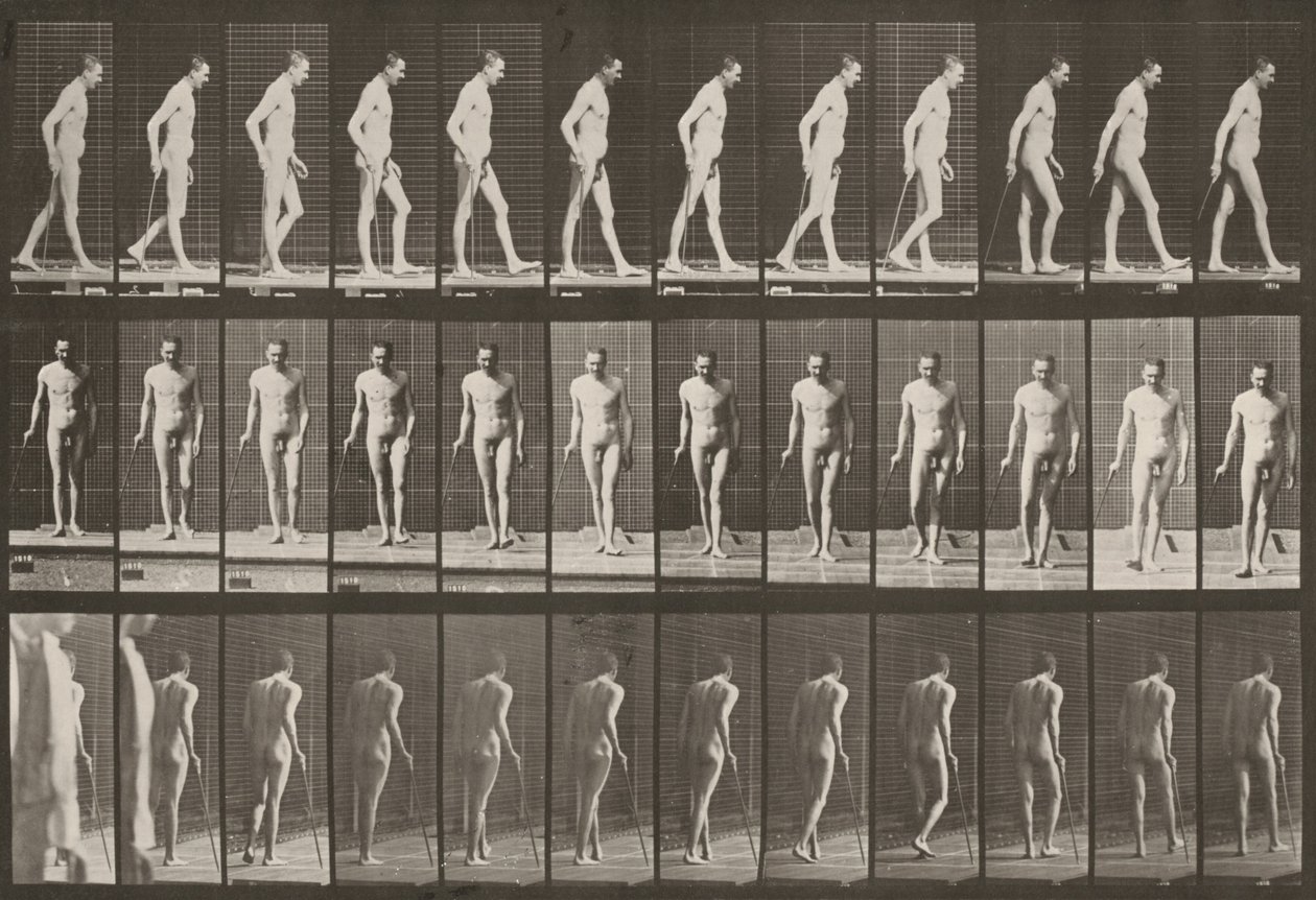 Plaat nummer 559. Gedeeltelijke paraplegie, lopen met stok door Eadweard Muybridge