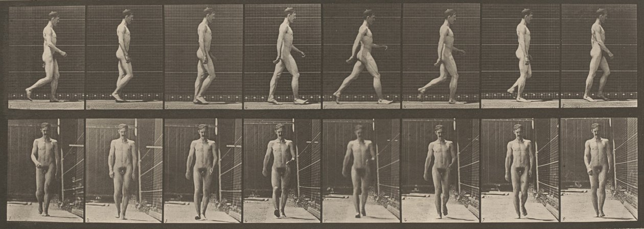 Plaat nummer 5. Wandelen,1887 (foto) door Eadweard Muybridge