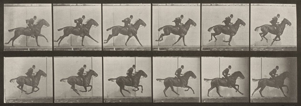 Plaat nummer 624. "Daisy" in galop, gezadeld door Eadweard Muybridge