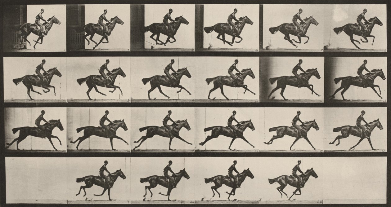 Plaat nummer 625. „Bouquet” in galop door Eadweard Muybridge