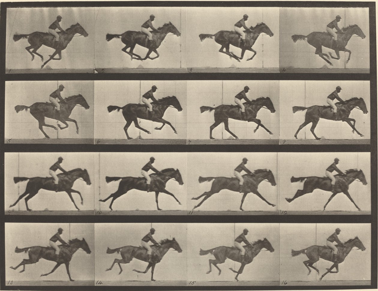 Plaat nummer 626. Galop, volbloed bruine merrie, Annie G. door Eadweard Muybridge